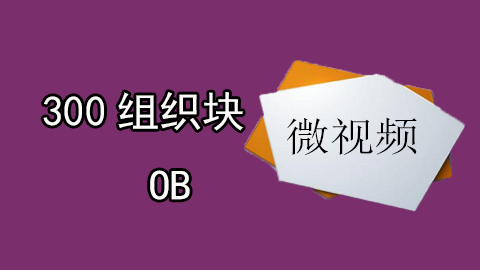 300组织块OB微视频